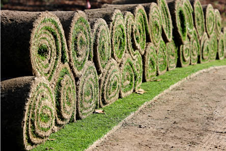 graszoden of grasrollen in de tuin leggen